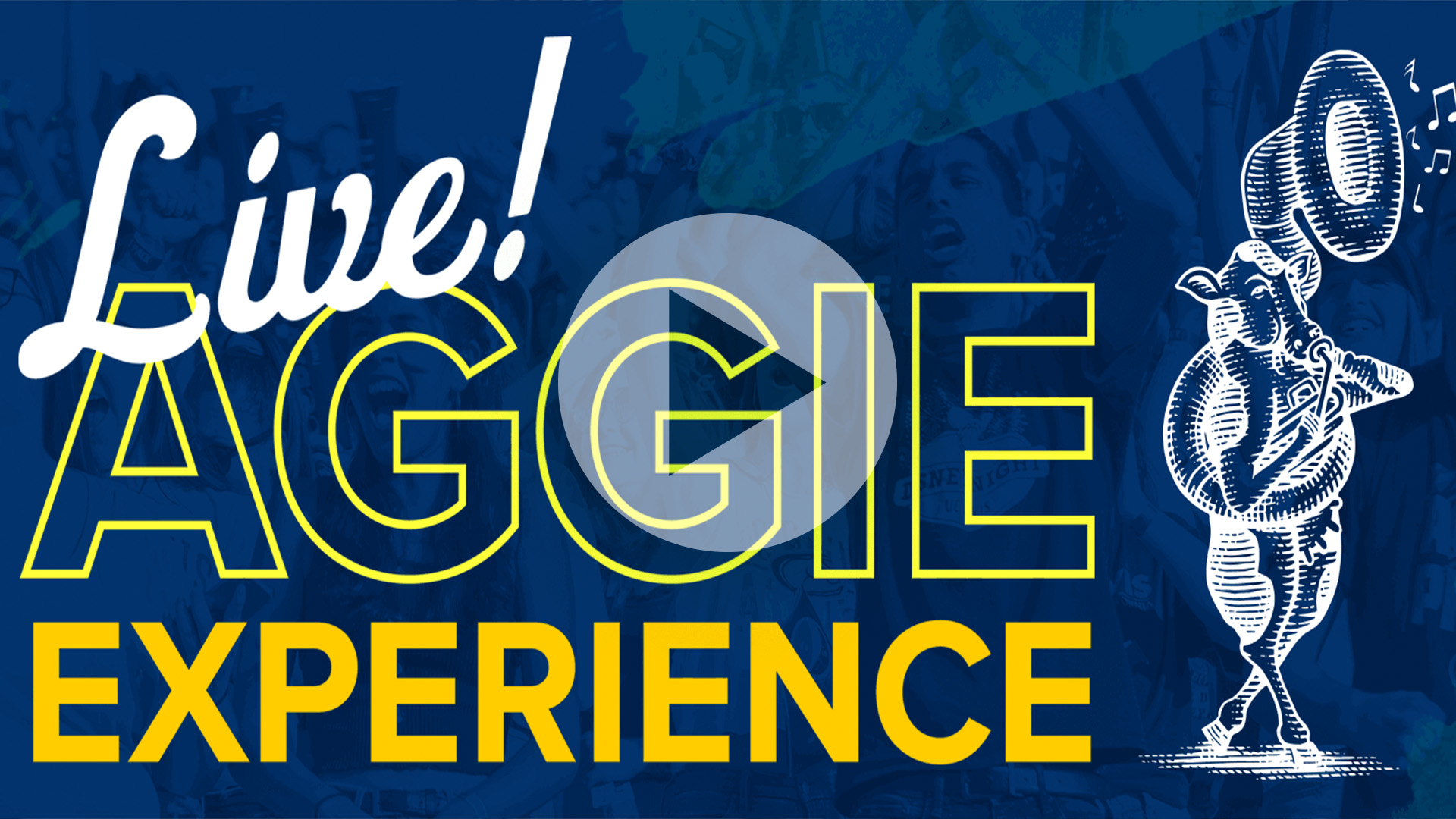 UC Davis Parent Video Library One Aggie Network